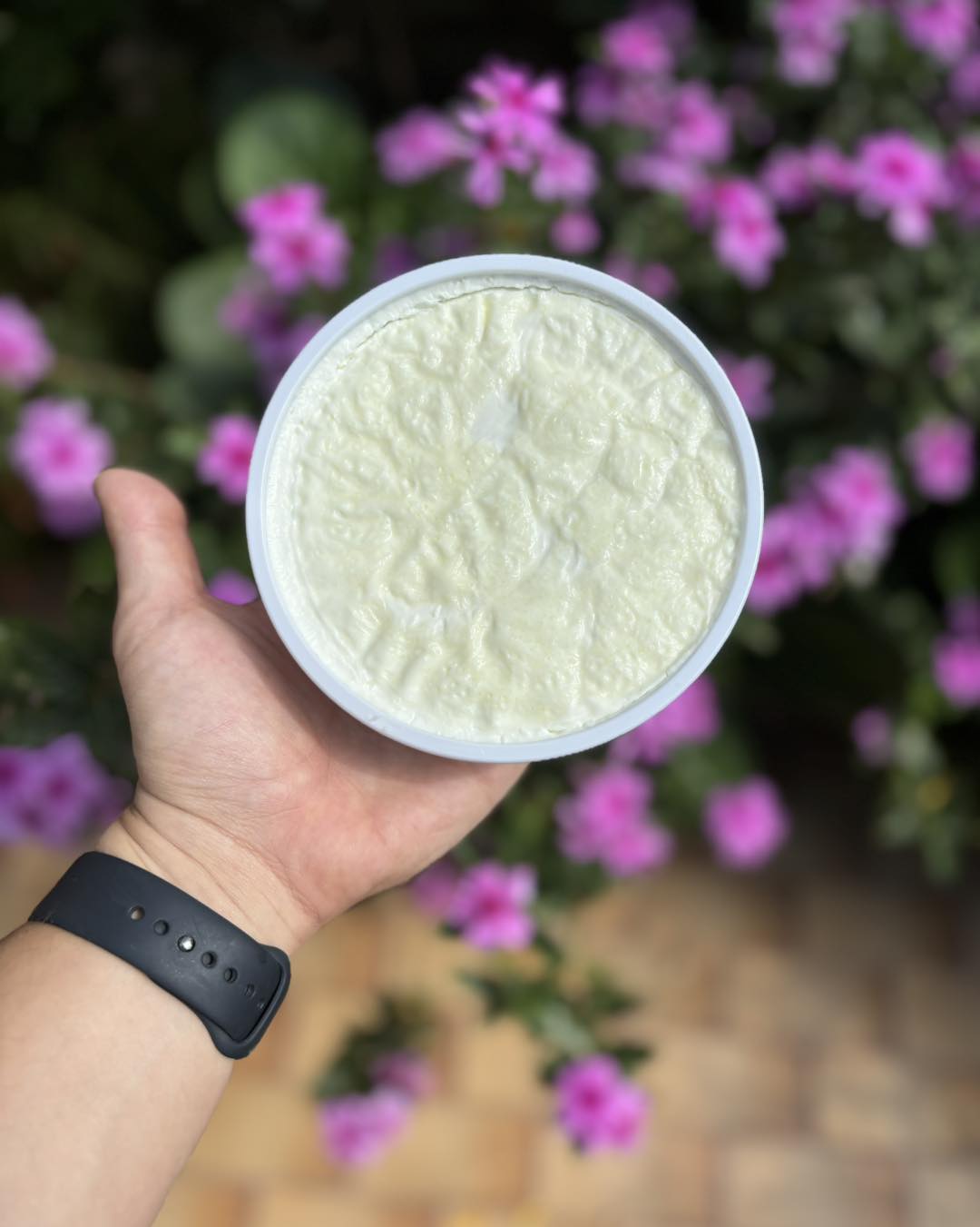Sheep Milk Yogurt from Vytina – Price per kilo