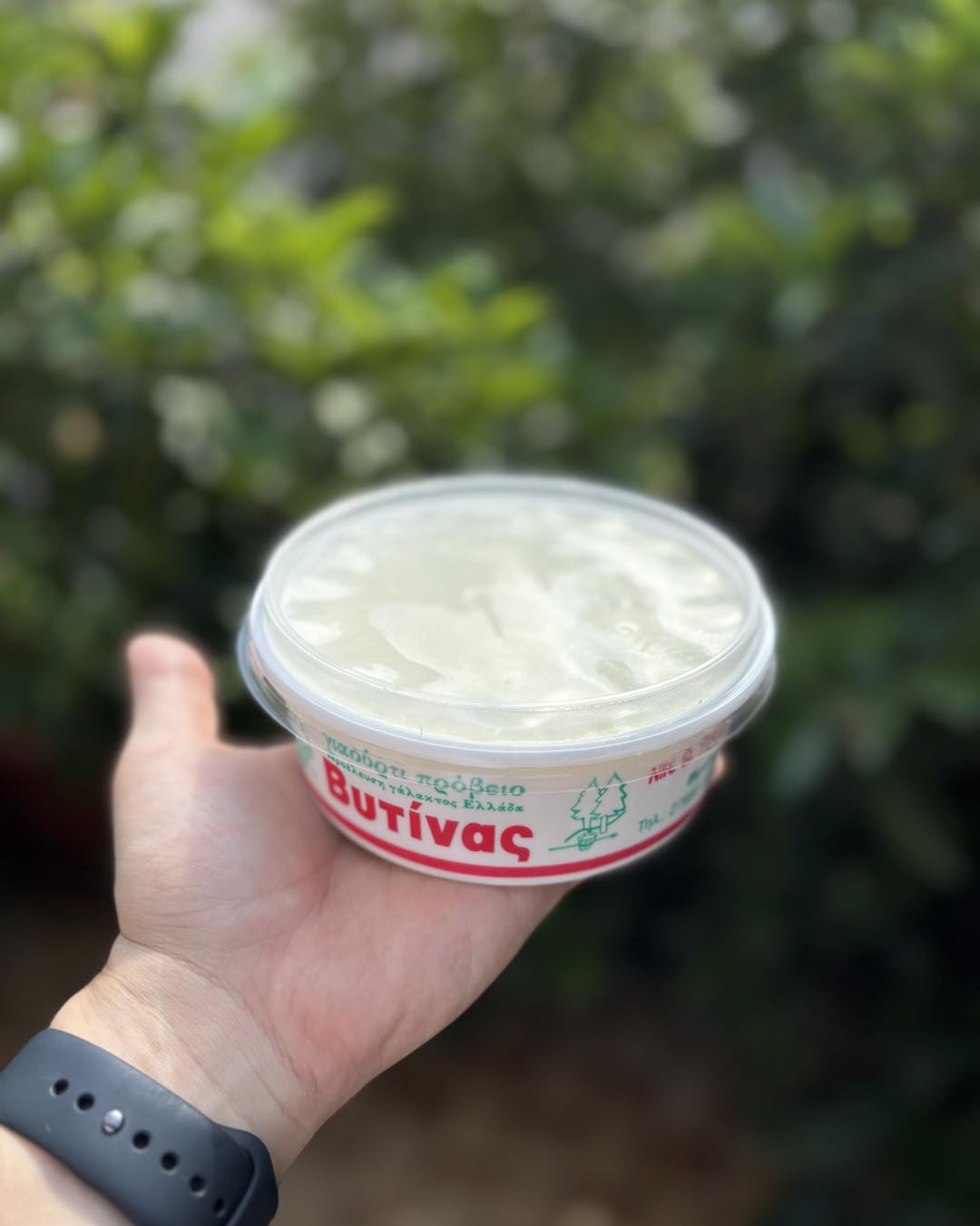 Sheep Milk Yogurt from Vytina – Price per kilo