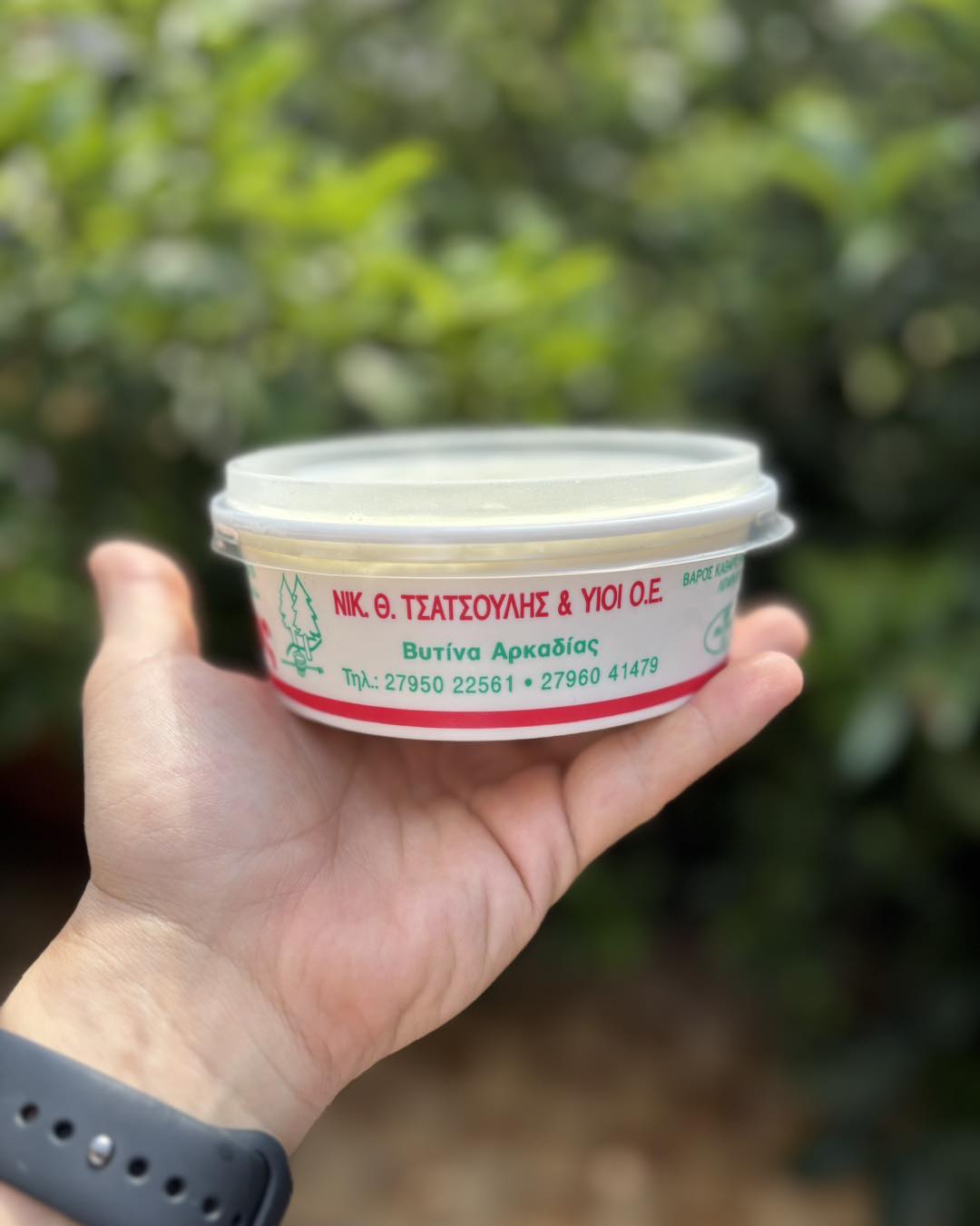 Sheep Milk Yogurt from Vytina – Price per kilo