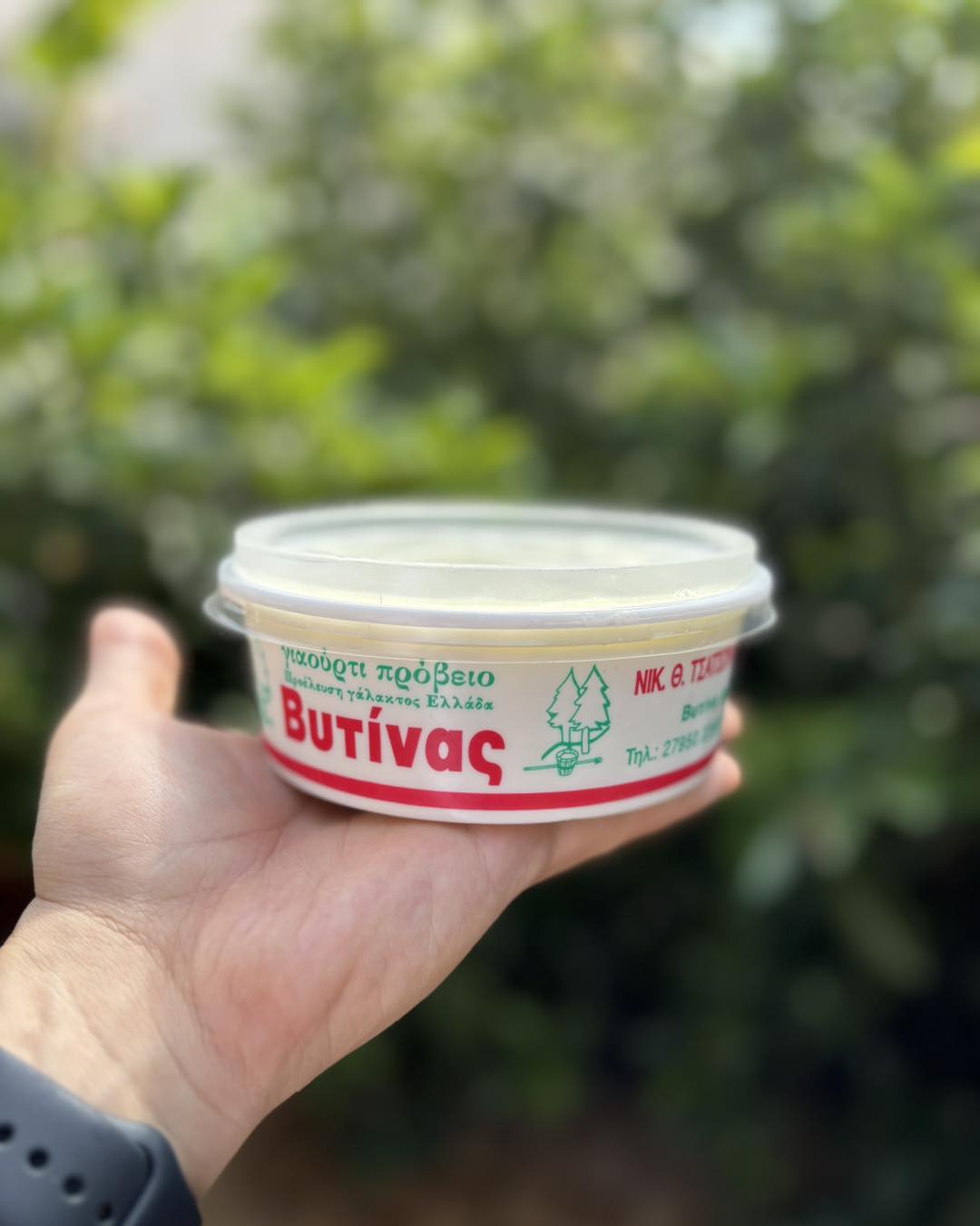 Sheep Milk Yogurt from Vytina – Price per kilo