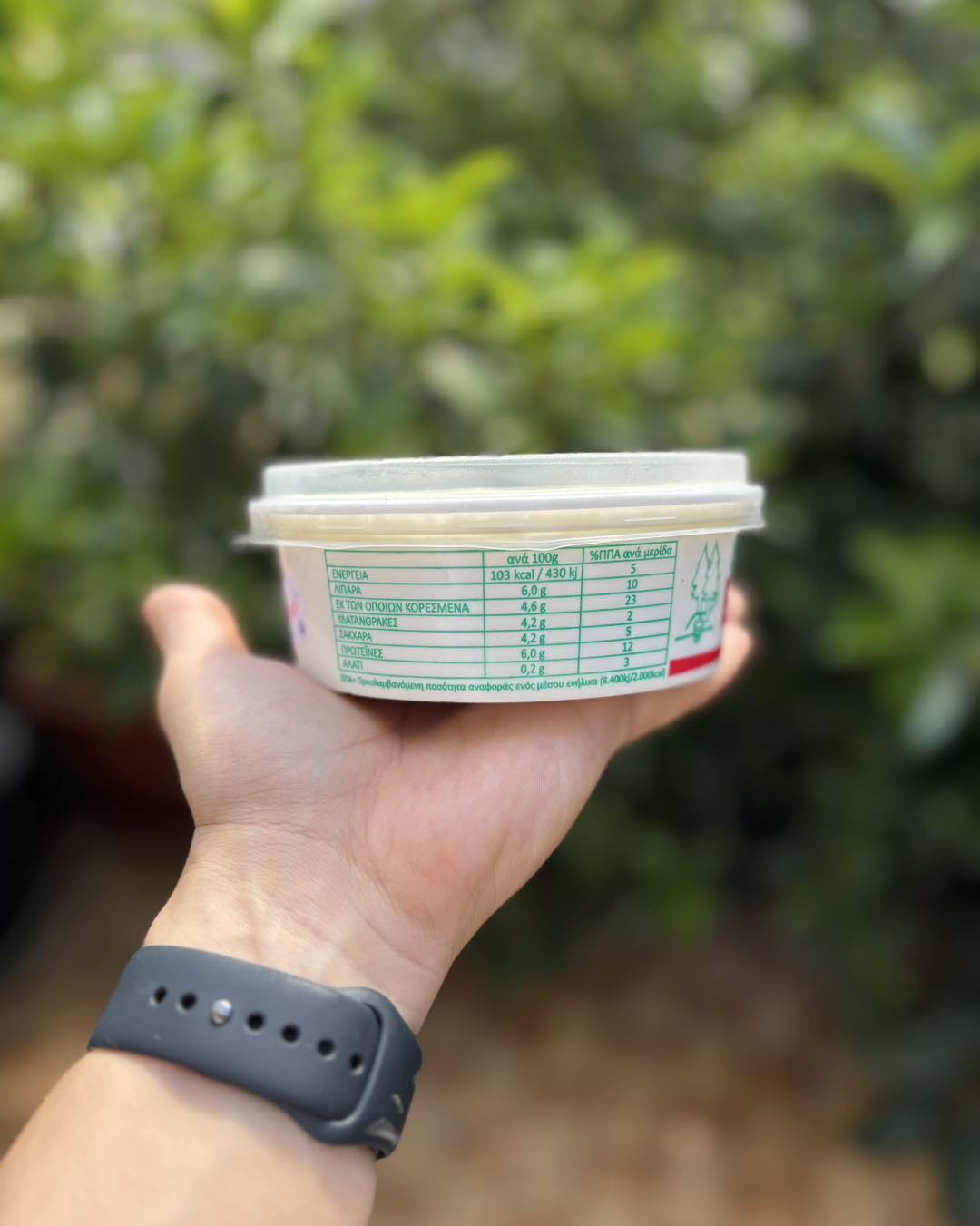 Sheep Milk Yogurt from Vytina – Price per kilo