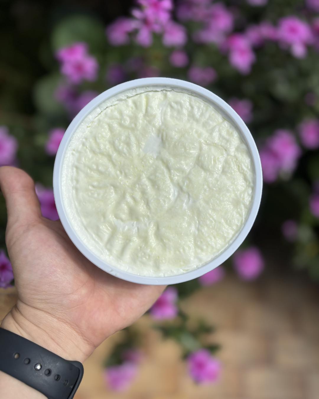 Sheep Milk Yogurt from Vytina – Price per kilo