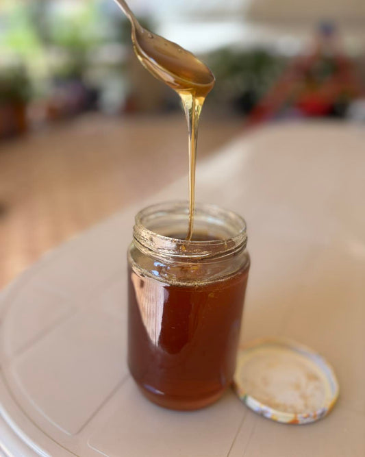 Organic Chestnut Honey – Price per kilo